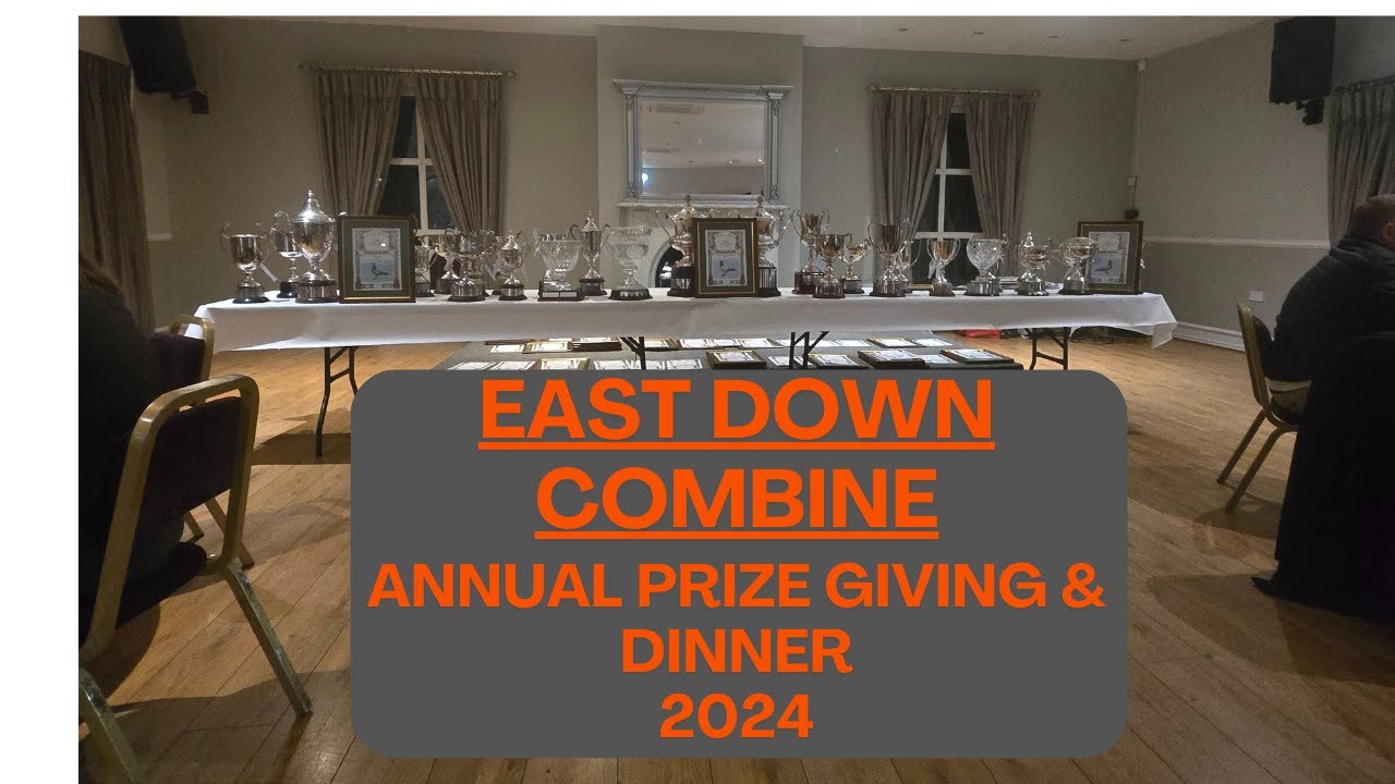 East Down Combine: History, Mergers, and Gaelic Football Legacy in County Down