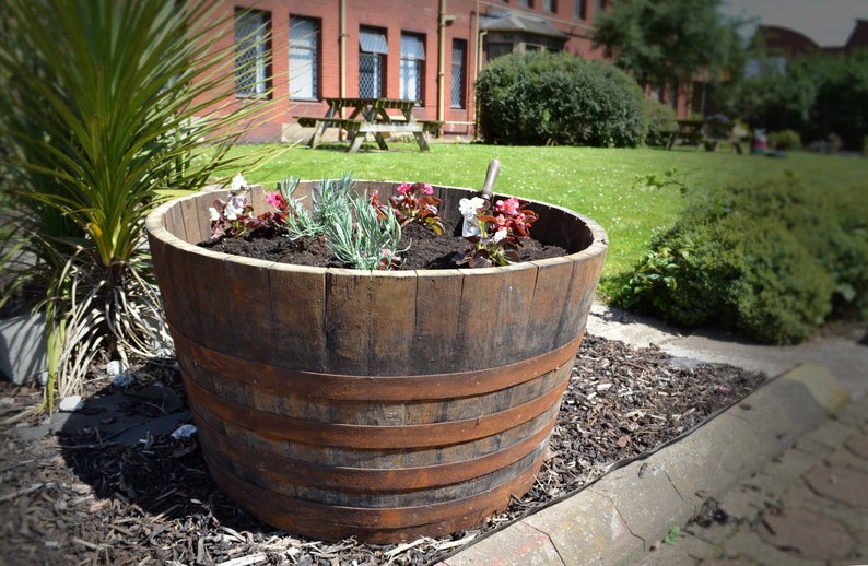 How Half Barrels for Planters Became a Gardening Staple