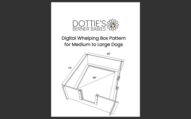 Whelping Pen Guide: Safe Birth Spaces for Dogs and Puppies