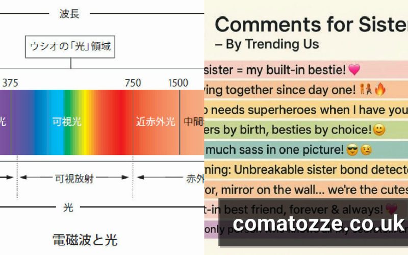How the ‘Comment for Sister Pic’ Trend Works on Instagram