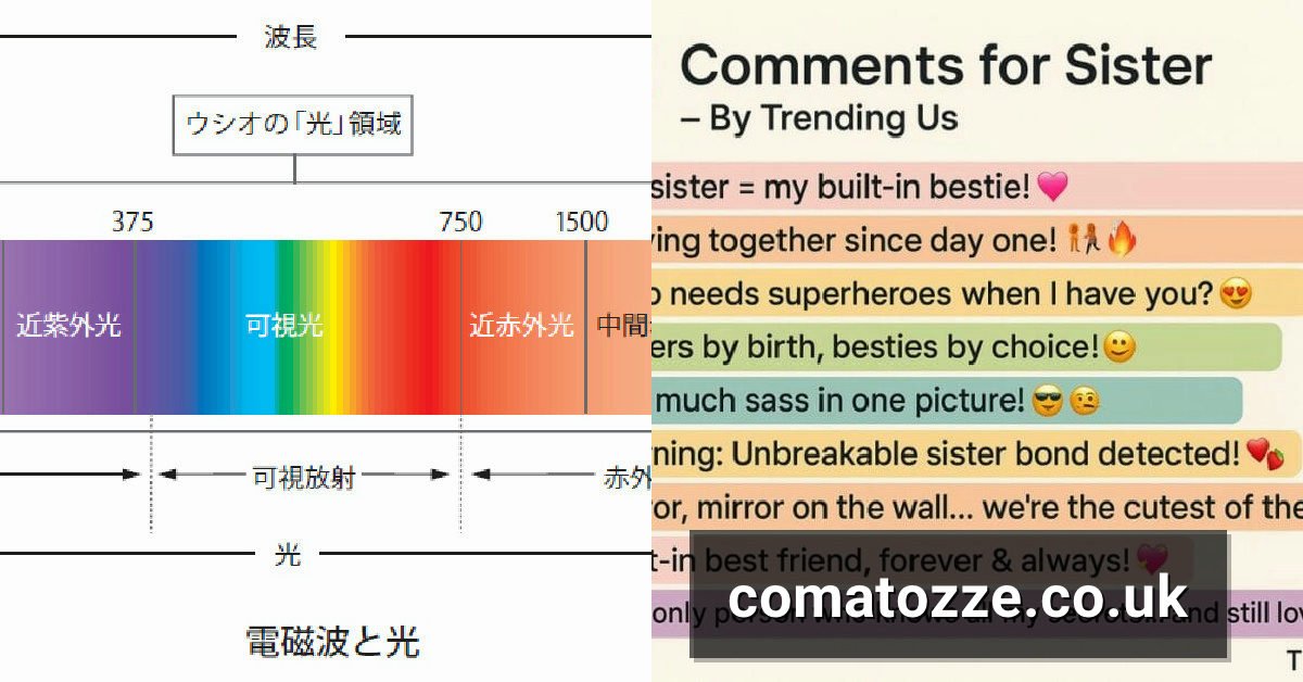 How the ‘Comment for Sister Pic’ Trend Works on Instagram