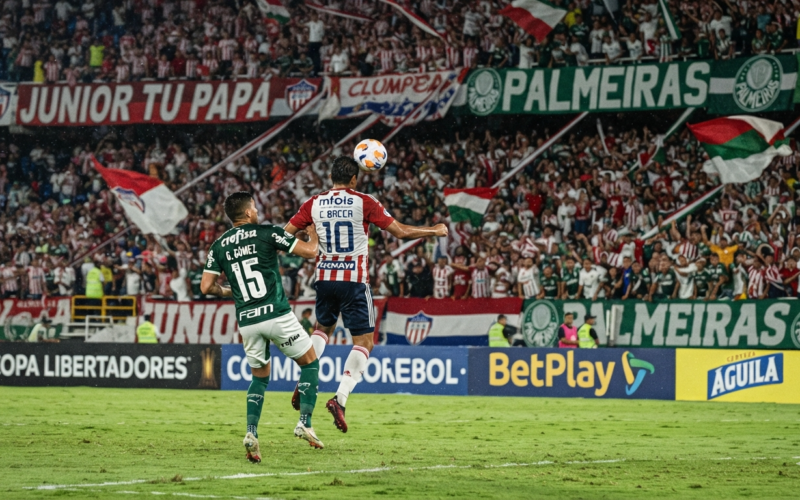 Junior x Palmeiras: Copa Libertadores Epic Match Breakdown & Stats